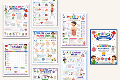 Human Body Workbook Product Image 4