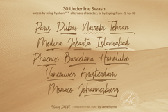 Alluring Delight Font | Feminine Elegant Swash Luxury Script Product Image 4
