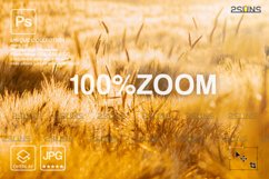 Ukraine field, Field overlay, Photoshop overlay Product Image 5