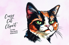 Crazy cat watercolor clipart PNG Product Image 1
