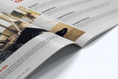 Business Brochure Template Product Image 11