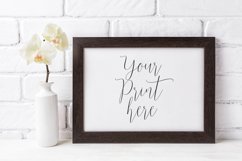 Morelinia Product Image 4