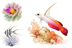Watercolor Tropical Fish Clipart Bundle, Ocean Coral PNG Product Image 4