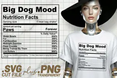 4x Funny Quotes Big Dogs Club Energy Mode Mood SVG Cut Files Product Image 4