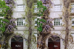 30 Blossom LUT Collection Product Image 9