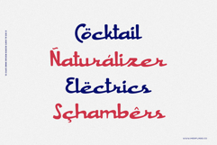 Carisk Product Image 4