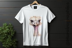 Ostrich Clipart 03 variations Product Image 2