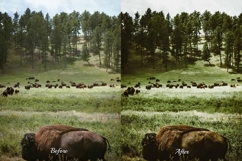 30 Countryside LUT Collection Product Image 7