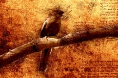 BIRDS Pack of 72 Printable Images Graphics Product Image 3