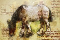 ANIMAL Printable Illustrations Pack # 16 graphics JPG Product Image 1