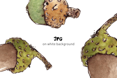 Acorns &amp; Leaves Seamless Watercolour Patterns Product Image 4