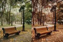30 Fall Feel LUT Collection Product Image 3