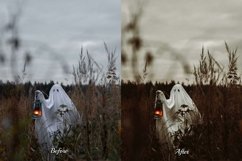 A captivating Halloween-themed photograph enhanced with Ghostly Photoshop Actions. Vibrant colors, spooky atmosphere, and professional-grade effects create a stunning image perfect for autumn photography and seasonal inspiration.