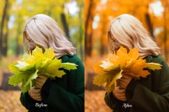 30 Golden Fall Lightroom Collection Product Image 4