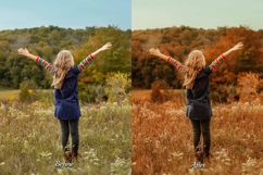 30 Golden Fall LUT Collection Product Image 8