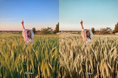 30 Harvest LUT Collection Product Image 6