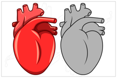 Realistic Heart Pierced by an Arrow of Love Product Image 4