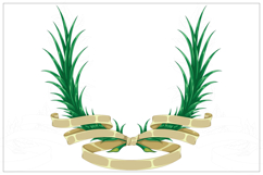 Heraldic plants tied with ribbon Product Image 4