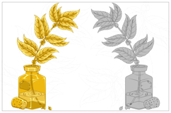 Glass Bottle with Decorative Plants Product Image 4