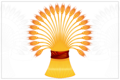 Greek Amphora with Sheaf of Wheat Product Image 4