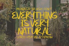 Monaco Brush Product Image 4