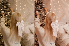 30 Presents Lightroom Bundle Product Image 6