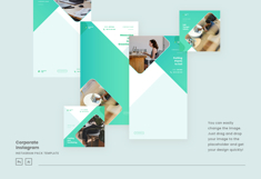 Elegant Corporate Instagram Post &amp; Story Template Product Image 5