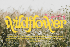 Blink Omega - Luxury Swash Serif Font Product Image 4