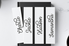 Nebraska Bridge - Monoline Cursive Font Product Image 5