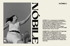 Aurellion - Elegant Serif Font Product Image 3