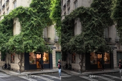 30 Silence LUT Collection Product Image 3