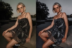 30 Silver LUT Collection Product Image 4