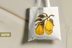 Vintage Fruits Farm Fresh Watercolor Clipart Collection Product Image 5