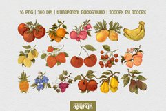 Vintage Fruits Farm Fresh Watercolor Clipart Collection Product Image 7