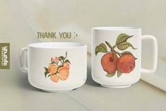 Vintage Fruits Farm Fresh Watercolor Clipart Collection Product Image 8