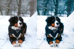 Elevate your winter photos with 35 Winter Glow Lightroom Presets. Create stunning effects with cold, vibrant, iced, and moody themes, perfect for families, bloggers, influencers, winter portraits, and holiday photography.