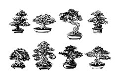 Bonsai tree japanese hand drawn illustration set Product Image 1