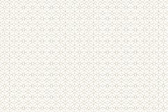Ornamental seamless patterns. Product Image 3