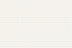 Ornamental seamless patterns. Product Image 3