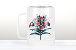 Phloxes wildflower clipart | Vintage Summer flower graphics Product Image 3