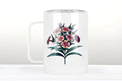 Phloxes wildflower clipart | Vintage Summer flower graphics Product Image 3