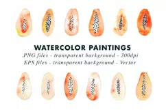 Watercolor Papaya Illustrations Clip Art in PNG & Vector Product Image 2