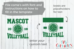 Volleyball SVG | Volleyball Template 0017 | Shirt Design Product Image 2