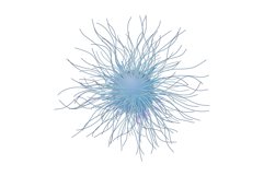 Virus Bacteria Microbe With Long Antennas Vector Product Image 1
