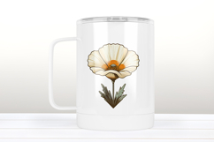 Bindweed wildflower clipart | Vintage Summer flower graphics Product Image 3