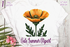 Poppy Wild flower clipart | Vintage Summer flower graphics Product Image 1