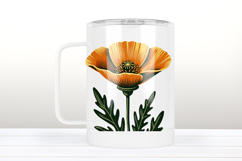 Poppy Wild flower clipart | Vintage Summer flower graphics Product Image 3