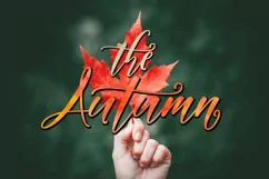23 Font Bundle - Free Font Of The Week Product Image 4