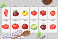 Tomatoes Product Image 3