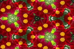 12 abstract Seamless colorful FLOWER patterns pack. Product Image 4